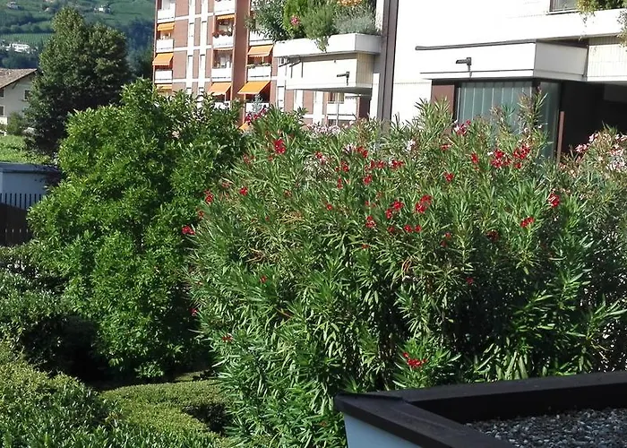 ゲストハウス Da Glauco